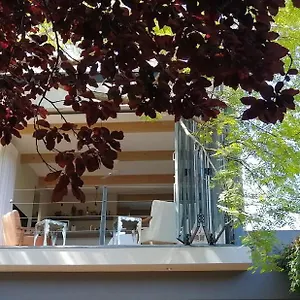 Fresh Apartment